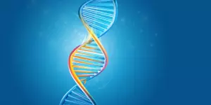 Le SINGLE STEP, la nouvelle méthode d'évaluation génétique et génomique